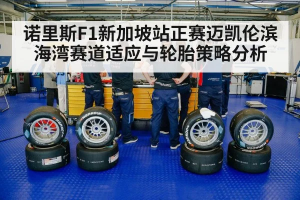 racing tires pit stop - kaiyun